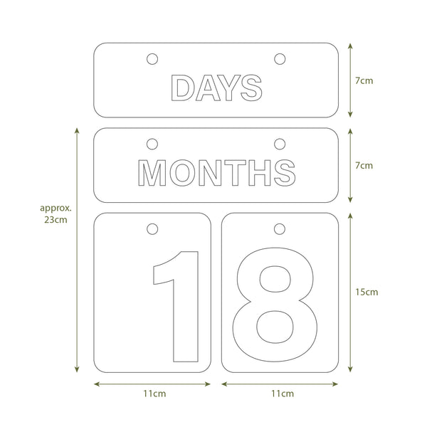 ULTIMATE RAINBOW FOREVER WALL CALENDAR